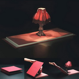 Read more about the article Book Of Lights Lampshade