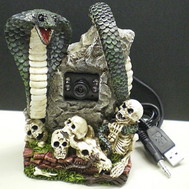 Read more about the article Skull Web Camera