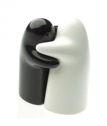 Read more about the article Hug Salt and Pepper Shaker Set
