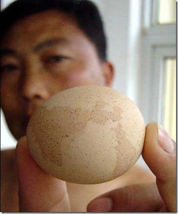Read more about the article Hen in China Lays an Egg With The Map of the World on it