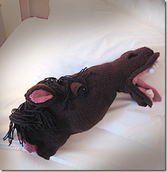 Read more about the article The Knitted Horse Head