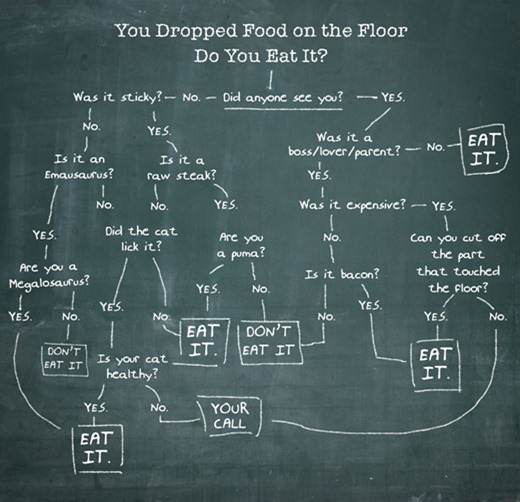 Read more about the article Guide To Eating Dropped Food
