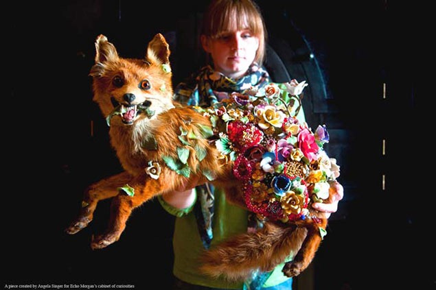 Read more about the article The Taxidermy Art of Angela Singer