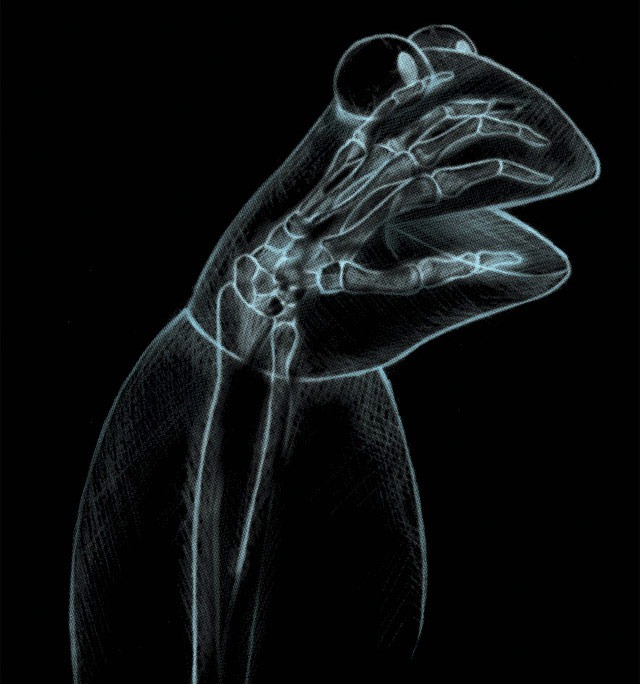 Read more about the article Kermit’s X-ray T-Shirt