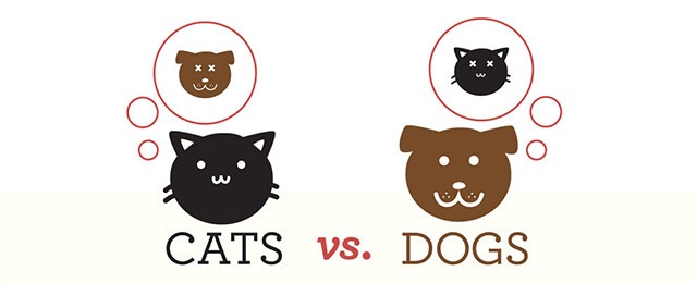 Read more about the article The Truth About Cats And Dogs–Infographic