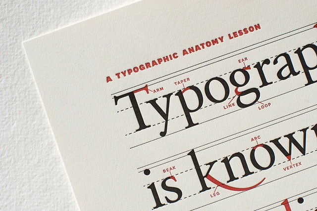 Read more about the article A Typographic Anatomy Lesson – Limited Edition Print