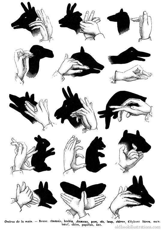 Read more about the article Hand Shadows For Everyone