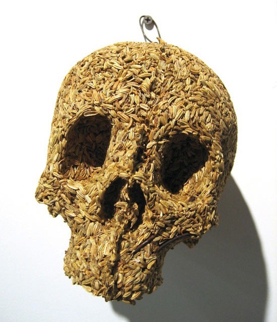 Read more about the article Spice Skulls