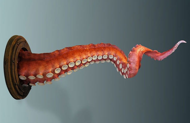 Read more about the article Wall Tentacle Sculpture Provokes Fear, Admiration