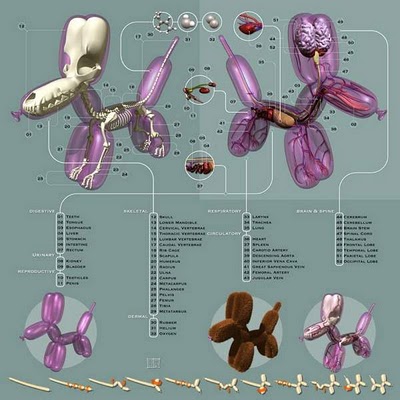 Read more about the article Balloon Animal Anatomy Chart