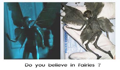 Read more about the article The Derbyshire Fairy – Latest Hoax