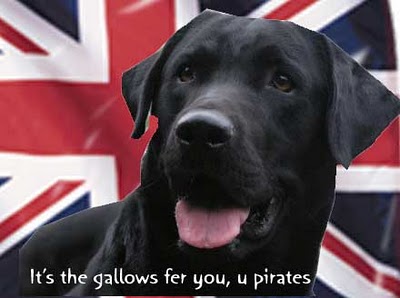 Read more about the article Dogs against Piracy