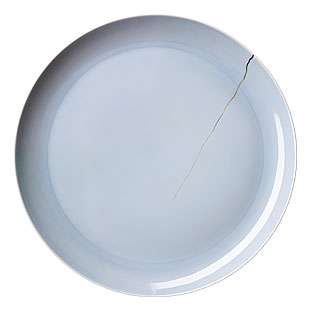 Read more about the article Expensive Faux Cracked Plate