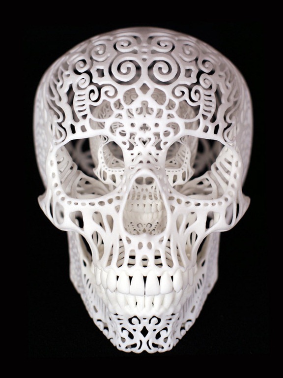 Read more about the article Joshua Harker’s Stunning Filigreed Skulls