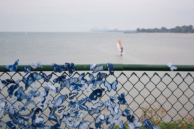 Read more about the article Tasha Lewis’s Butterfly Swarm Sculptures