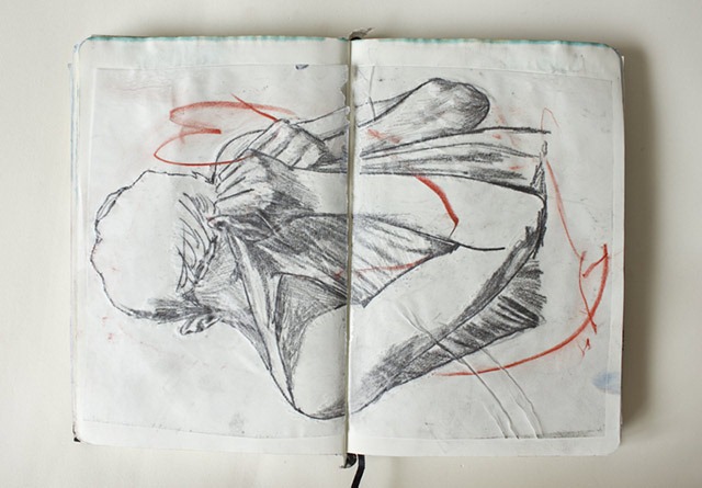 Read more about the article New Illustrations by André Azevedo