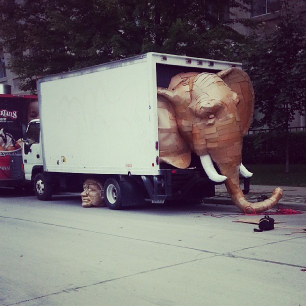 Read more about the article The Elephant in the Truck