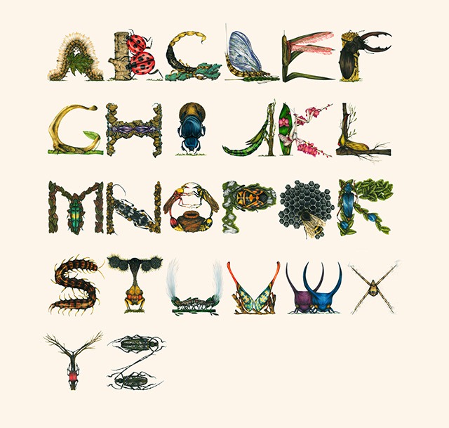 Read more about the article Stunning Insect Alphabet Illustrations by Paula Duta