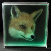 Fox-Holographic-Paintings-of-Animal-Heads-by-Yosman-Botero