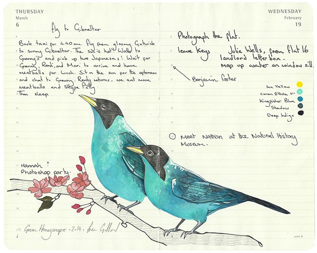 Read more about the article Remarkable Illustrations of Birds Drawn in Moleskine Diaries