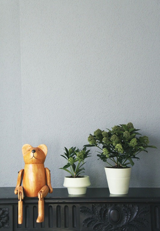 Read more about the article JOKJOR FOLD: The Planter That Grows Along With The Plant