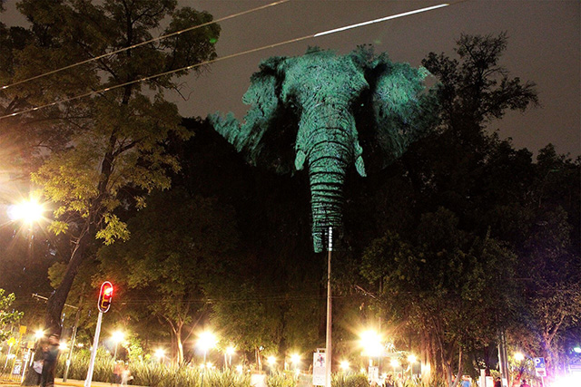 Read more about the article Sensational Art Installation of Wildlife Projected on Trees